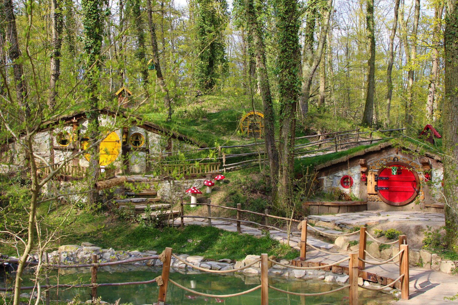 ormanya karavan kampı fotoğrafı