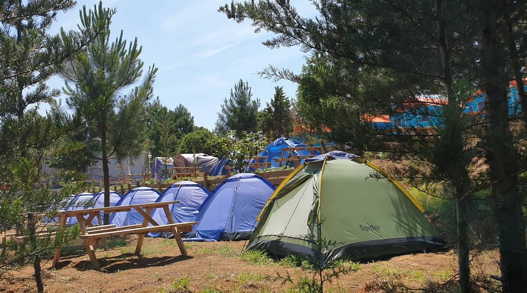 Gelesun-Camping-5.jpg